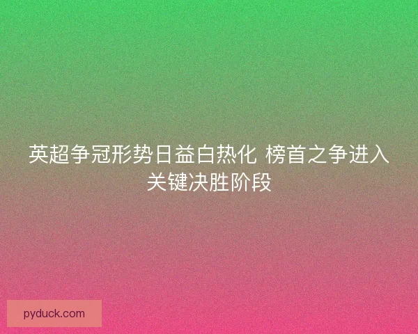 英超争冠形势日益白热化 榜首之争进入关键决胜阶段 英超争冠形势日益白热化 榜首之争进入关键决胜阶段